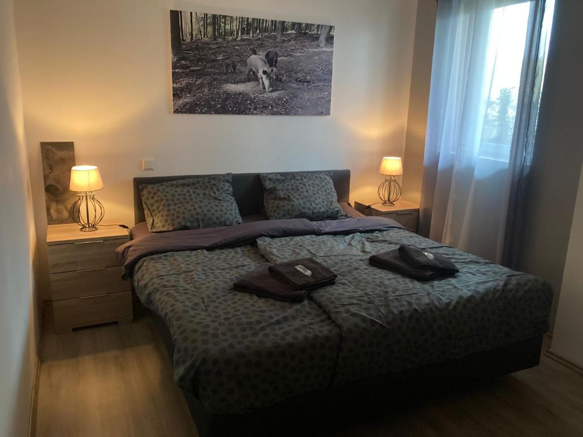 Comfortable 4-Person Apartments Winterberg Medebach Exterior foto